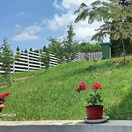 Fruskogorska Idila Apartmani Връдник Екстериор снимка