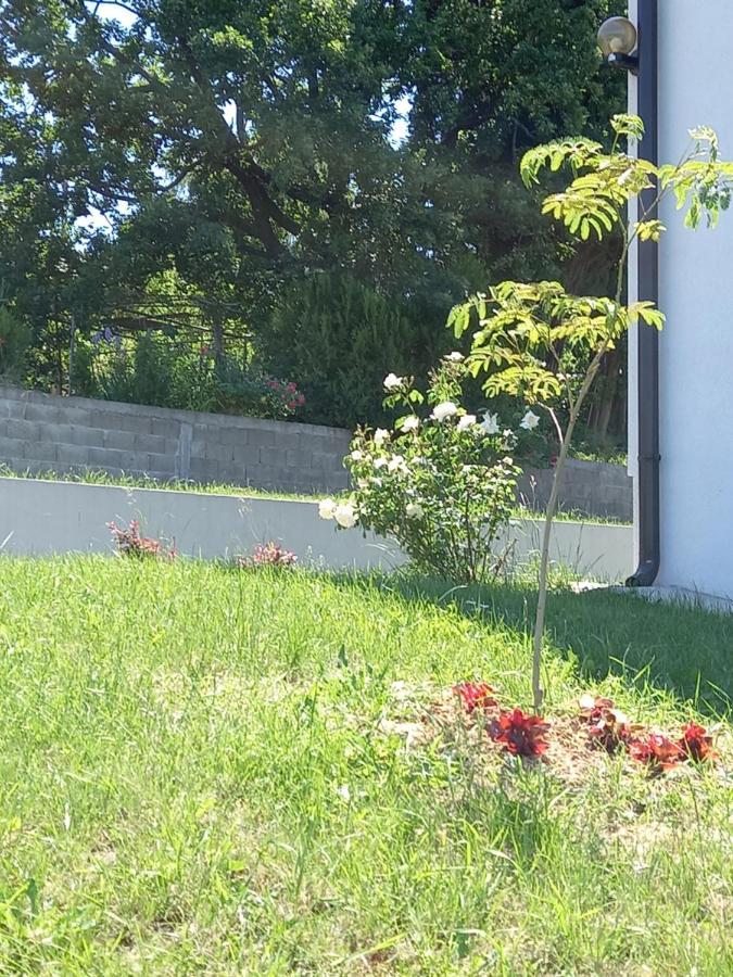 Fruskogorska Idila Apartmani Връдник Екстериор снимка